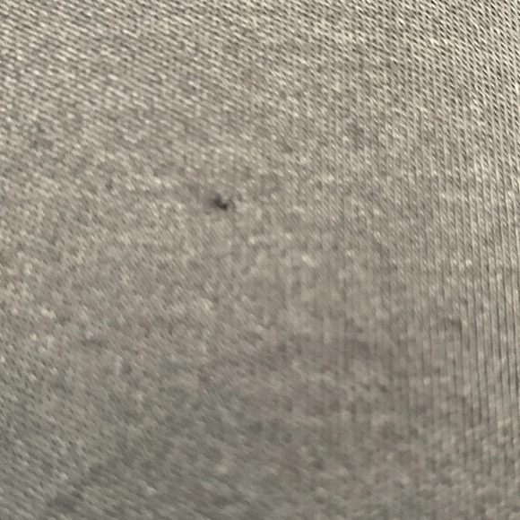 Alexis Tera Flutter Sleeve Crew Neck Combo Tee Black - Picture 8 of 8